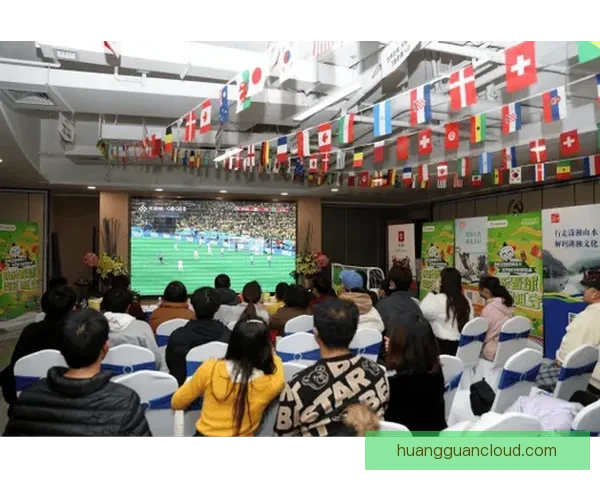 世界杯竞猜盛宴开启，全球球迷同享狂欢时刻，竞猜赢大奖助力精彩赛事